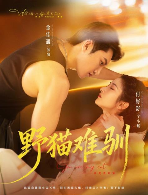 野猫难驯